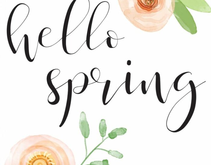 74707767812e542f27cbb8db9f39bb5e 74707767812e542f27cbb8db9f39bb5e